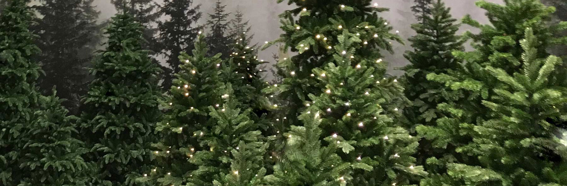 Front Page -DecorFlare Shop banner792