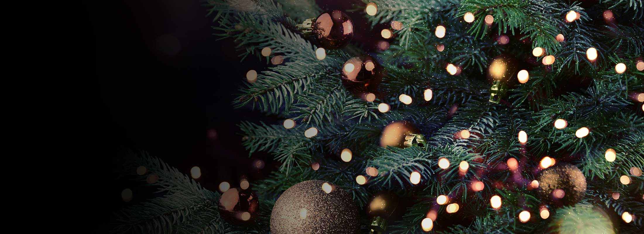 Front Page -DecorFlare Shop banner793